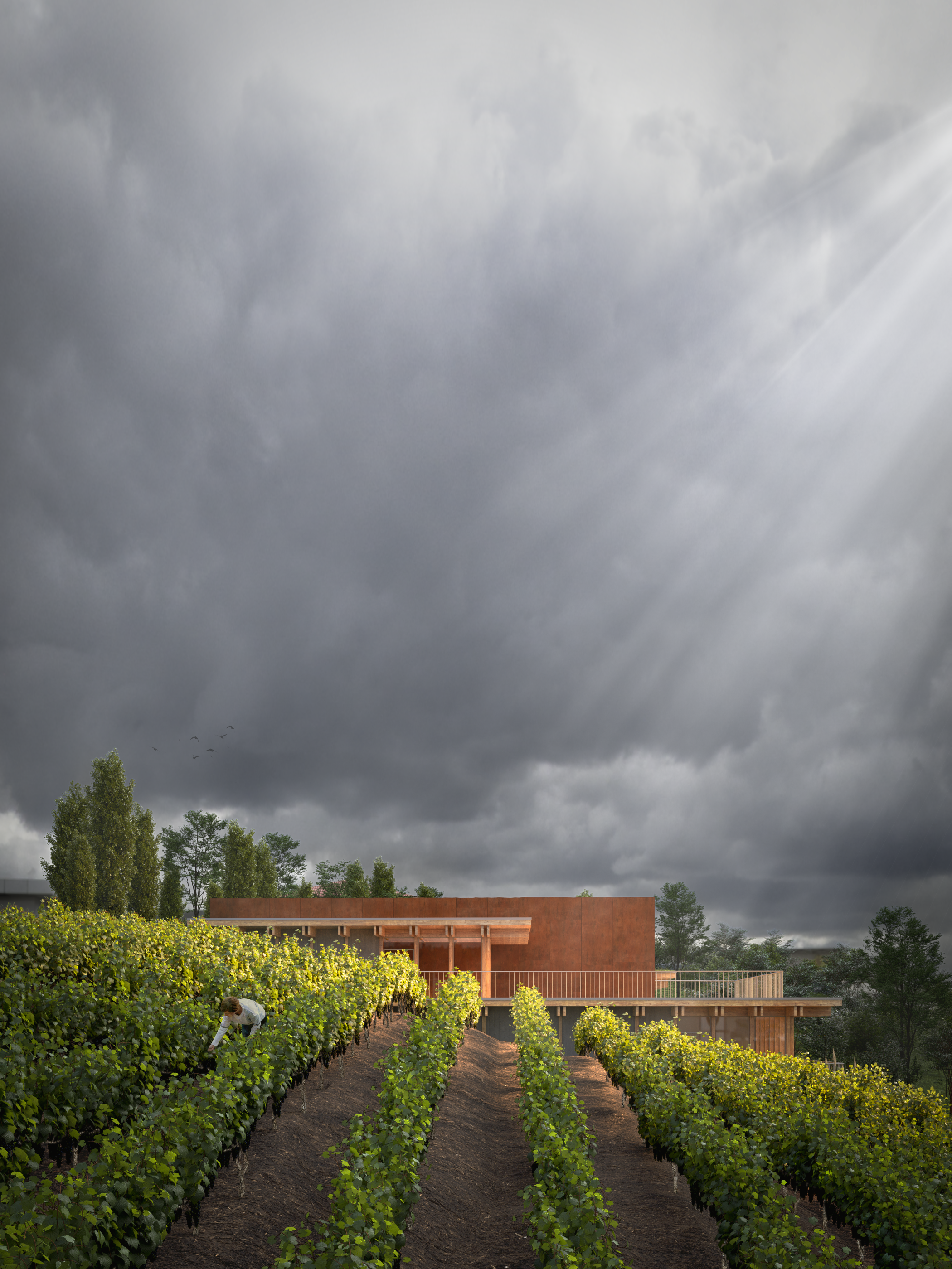 3d visualization of a modern italian winery, finalist of the competition